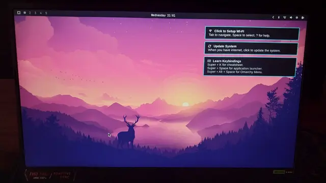 minimalistic