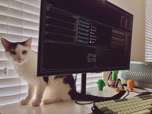 Omarchy workstation